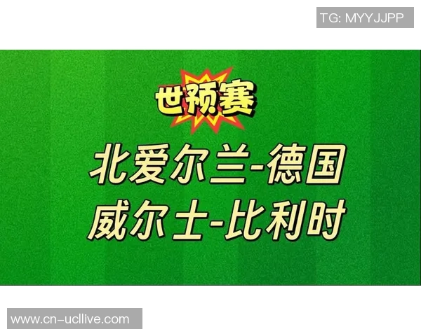 威尔士与爱尔兰激战在即球迷期待精彩对决与历史交锋